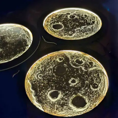 Craft your own glowing 16” moon lamp to take home.
